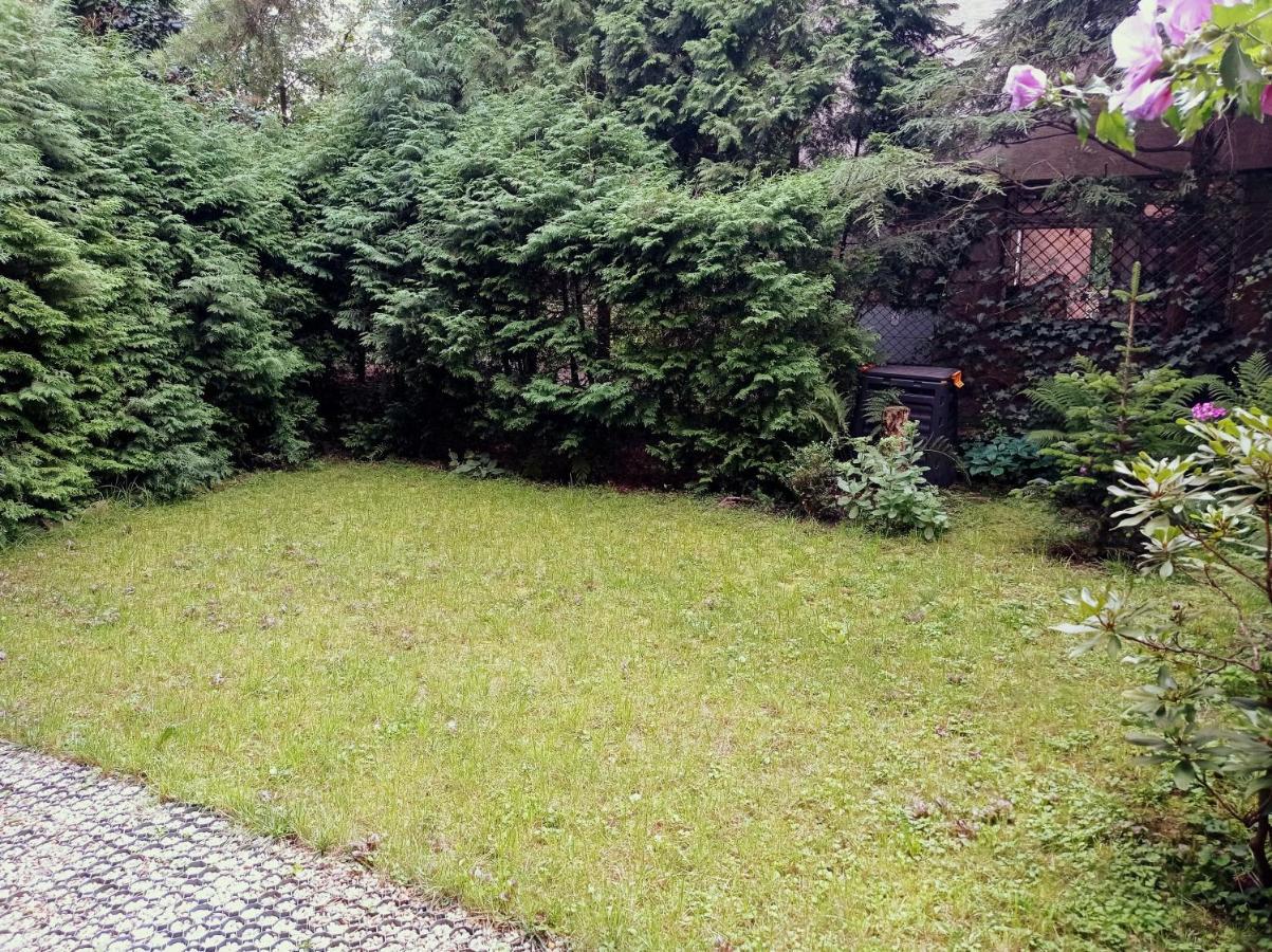 Secesja Krakau